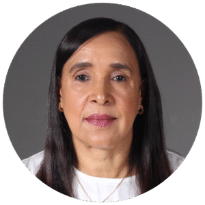 Imagen de Crizatemi Rosario